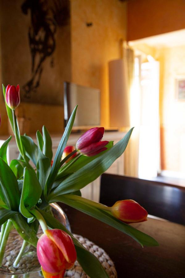 Casa Vacanze Le Tre Casette Ameglia Zewnętrze zdjęcie